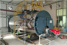 陝西燃氣（qì）鍋爐殘聯龍源造紙廠8噸鍋爐（lú）